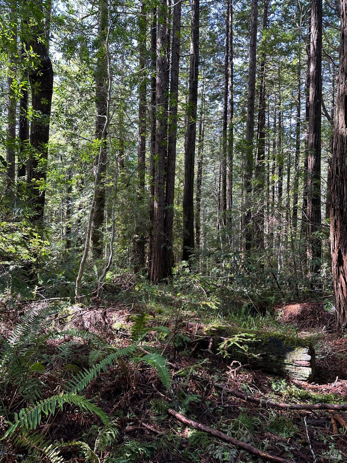 35400 Timber Ridge Rd