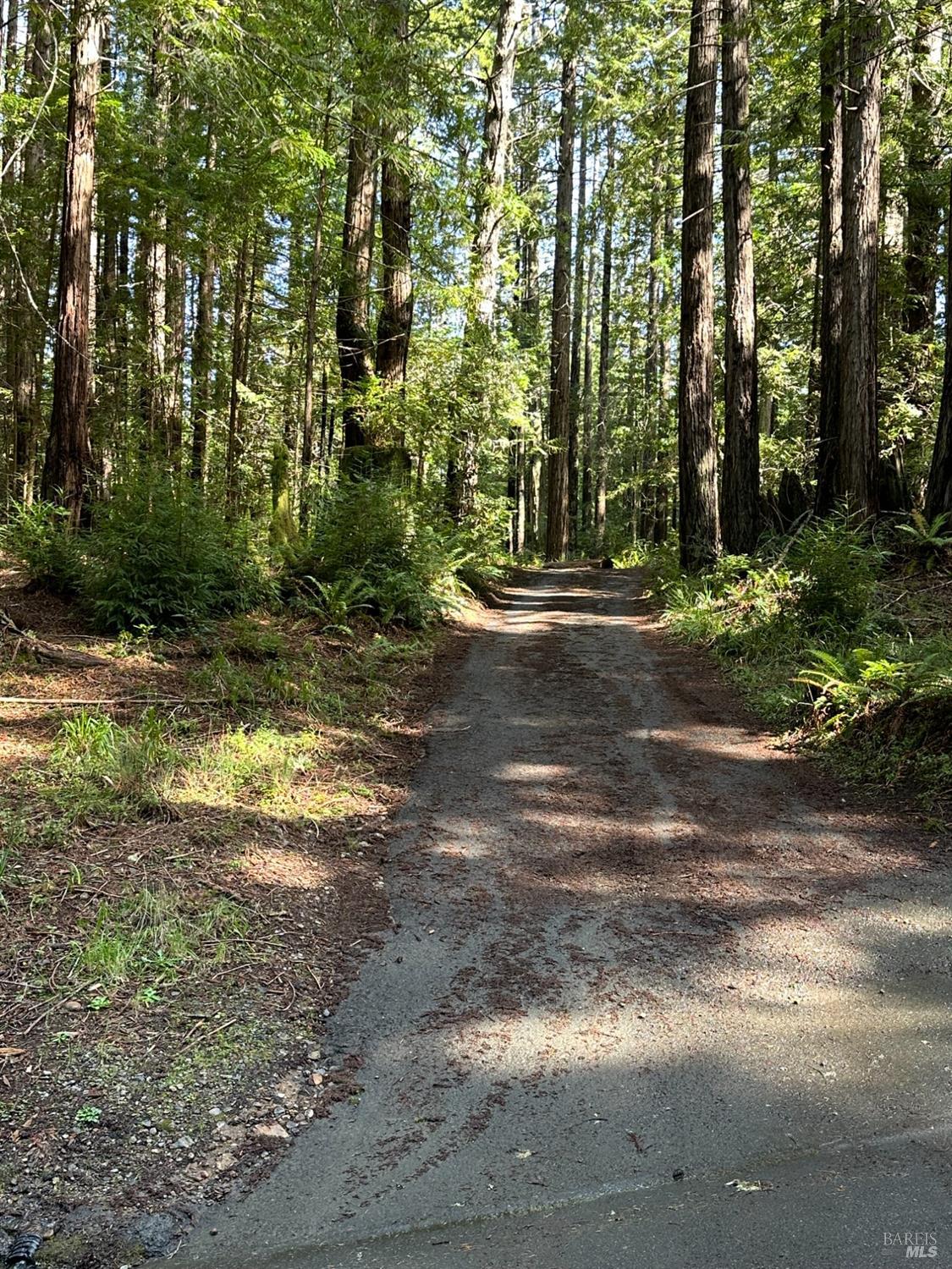 35400 Timber Ridge Rd