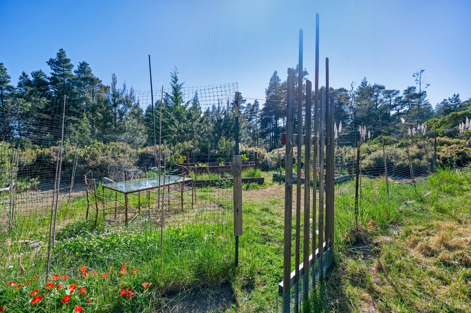 35555 Timberwood Way