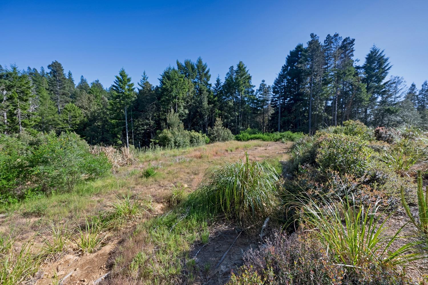 35555 Timberwood Way