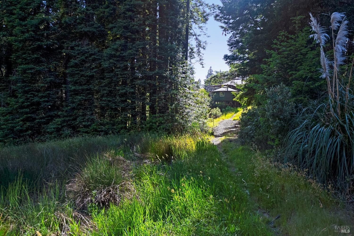 35555 Timberwood Way