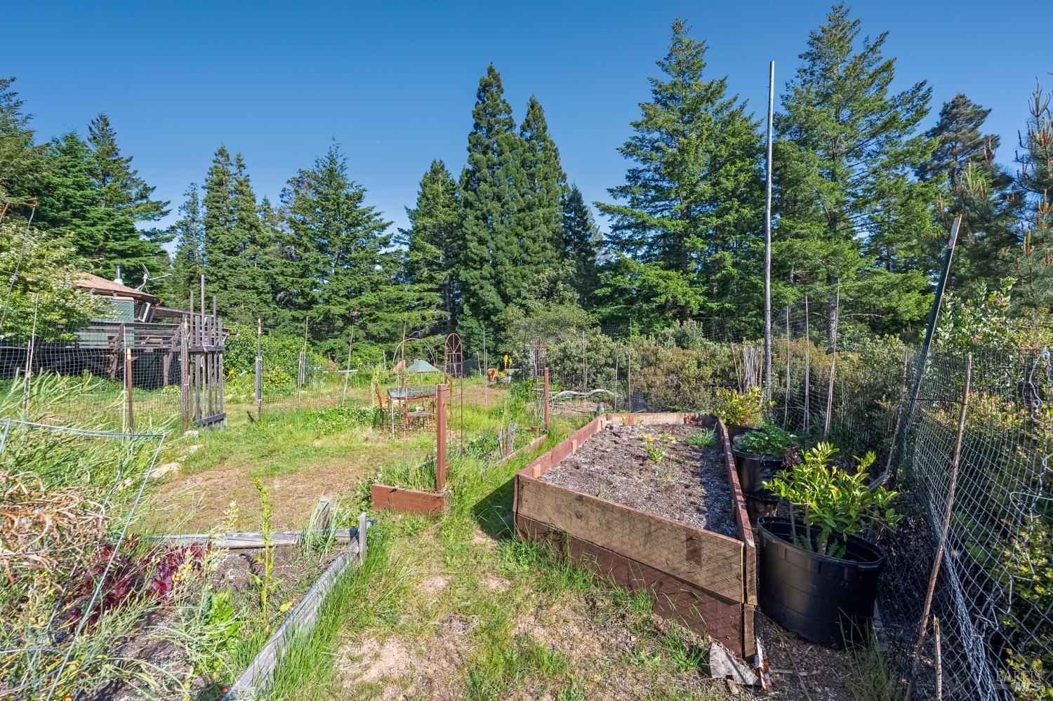 35555 Timberwood Way