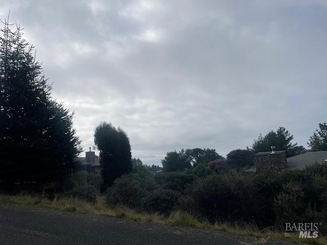 15251 Forest View Rd