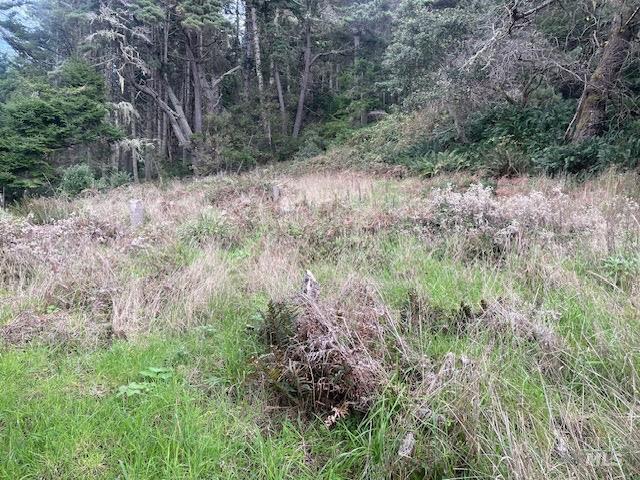 15251 Forest View Rd