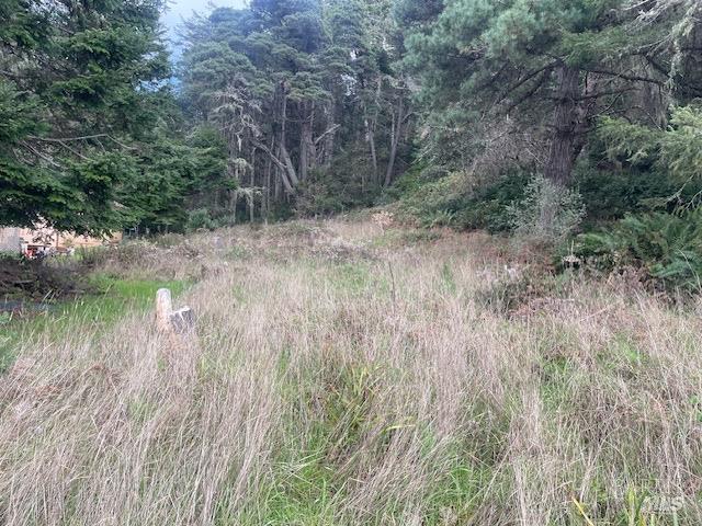 15251 Forest View Rd