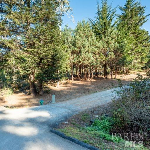 35387 Fly Cloud Rd
