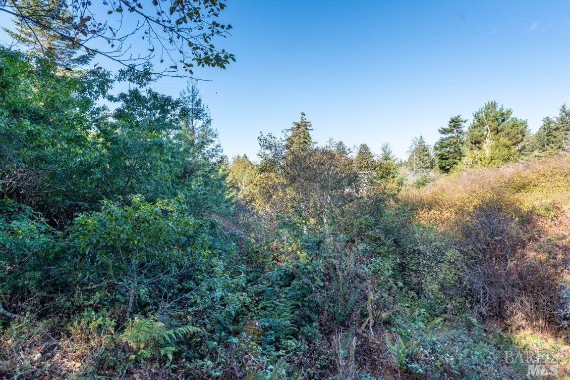 35387 Fly Cloud Rd