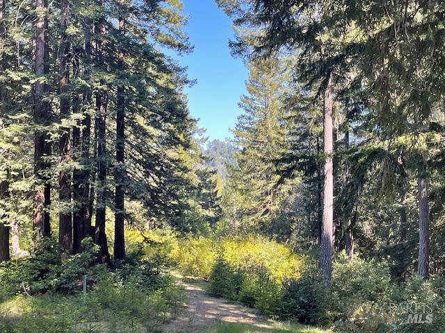 35905 Hauser Bridge Rd ##J