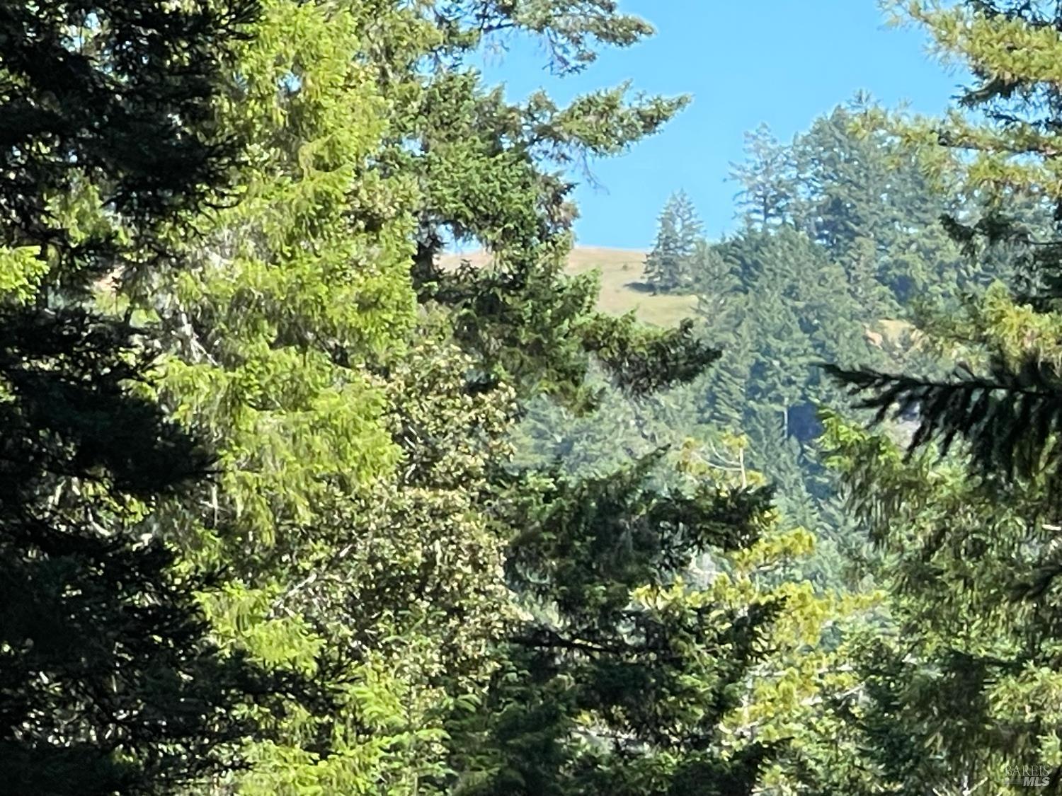 35905 Hauser Bridge Rd ##J