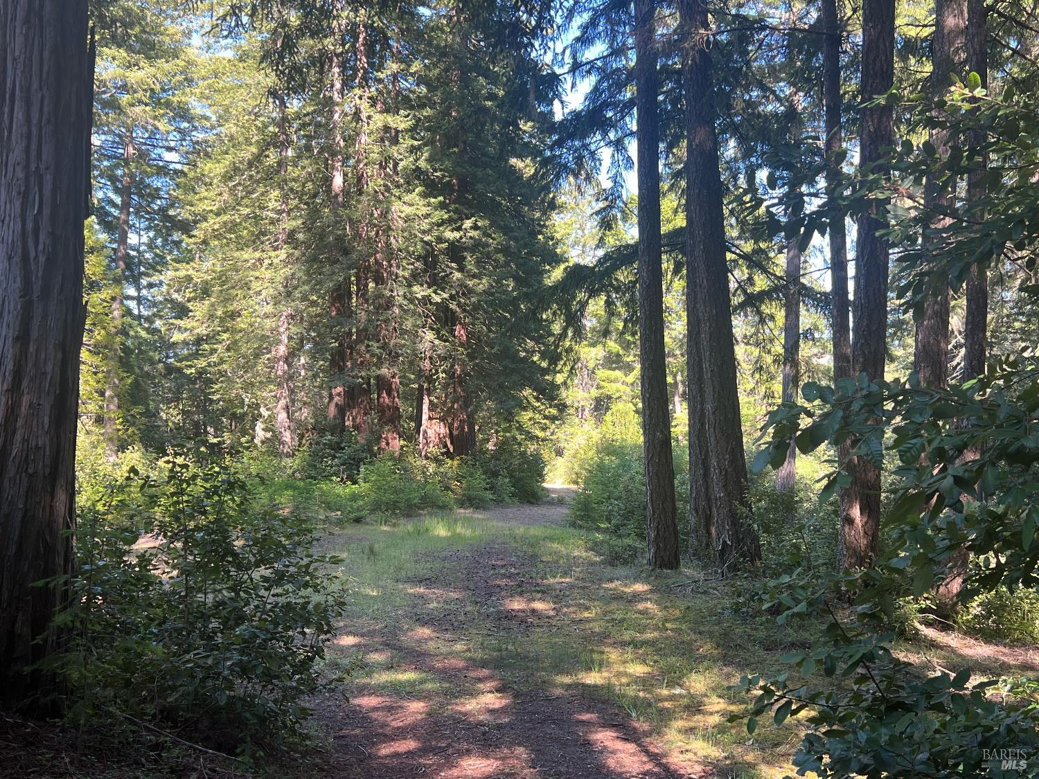 35905 Hauser Bridge Rd ##J