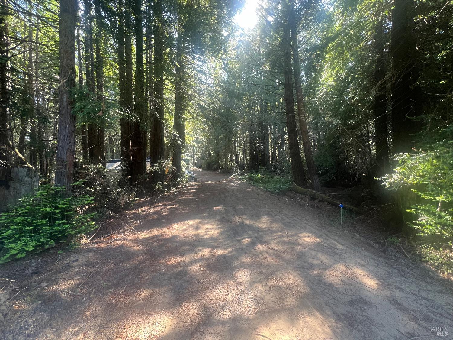 29530 Ten Mile Cut Off Rd