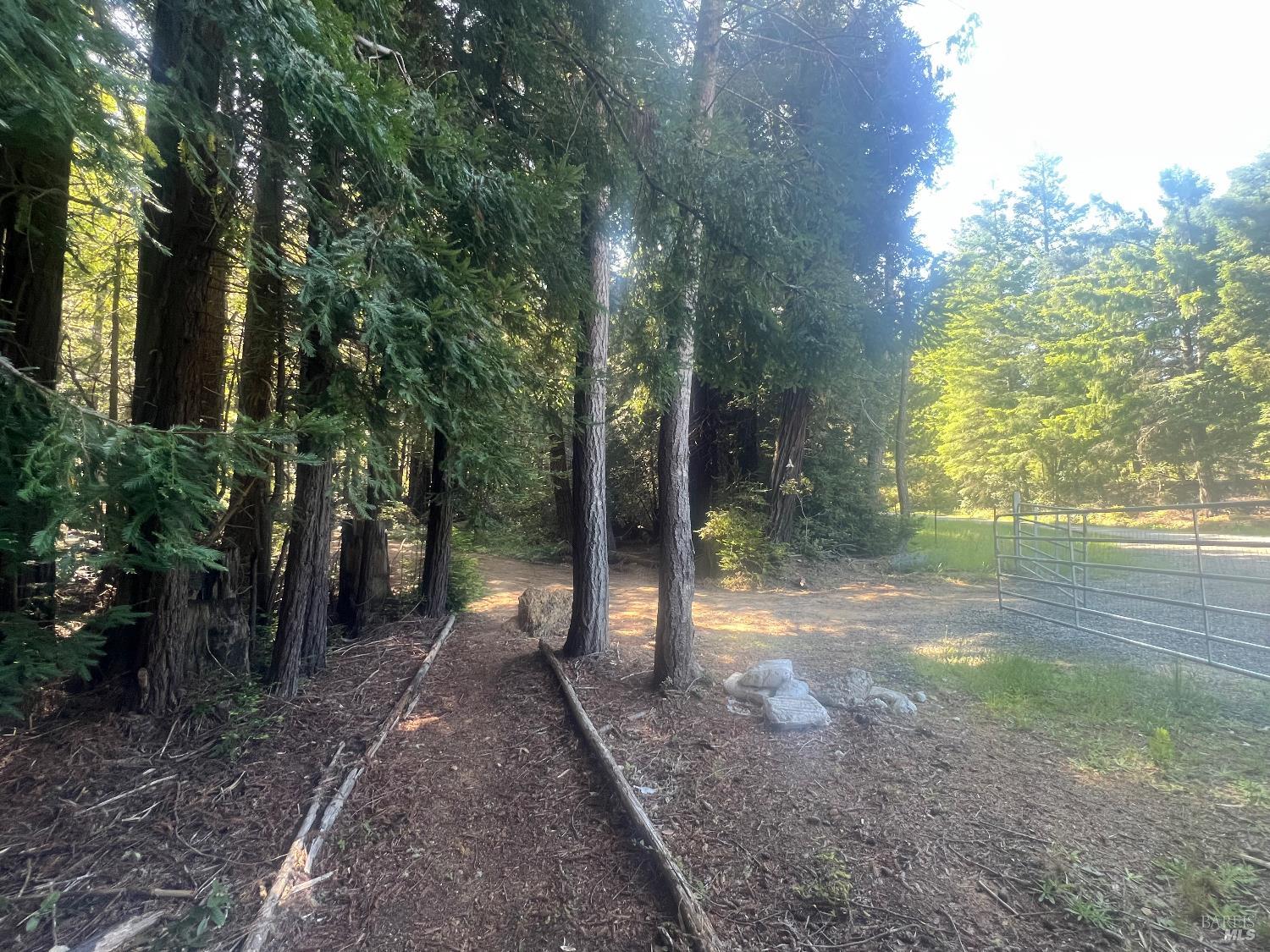 29530 Ten Mile Cut Off Rd