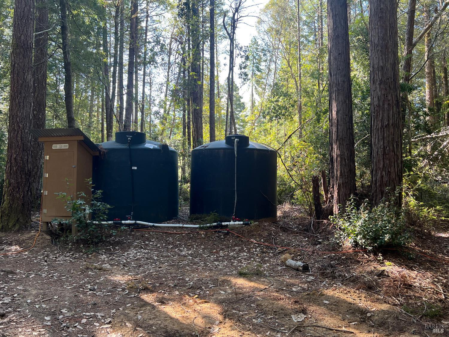 29530 Ten Mile Cut Off Rd