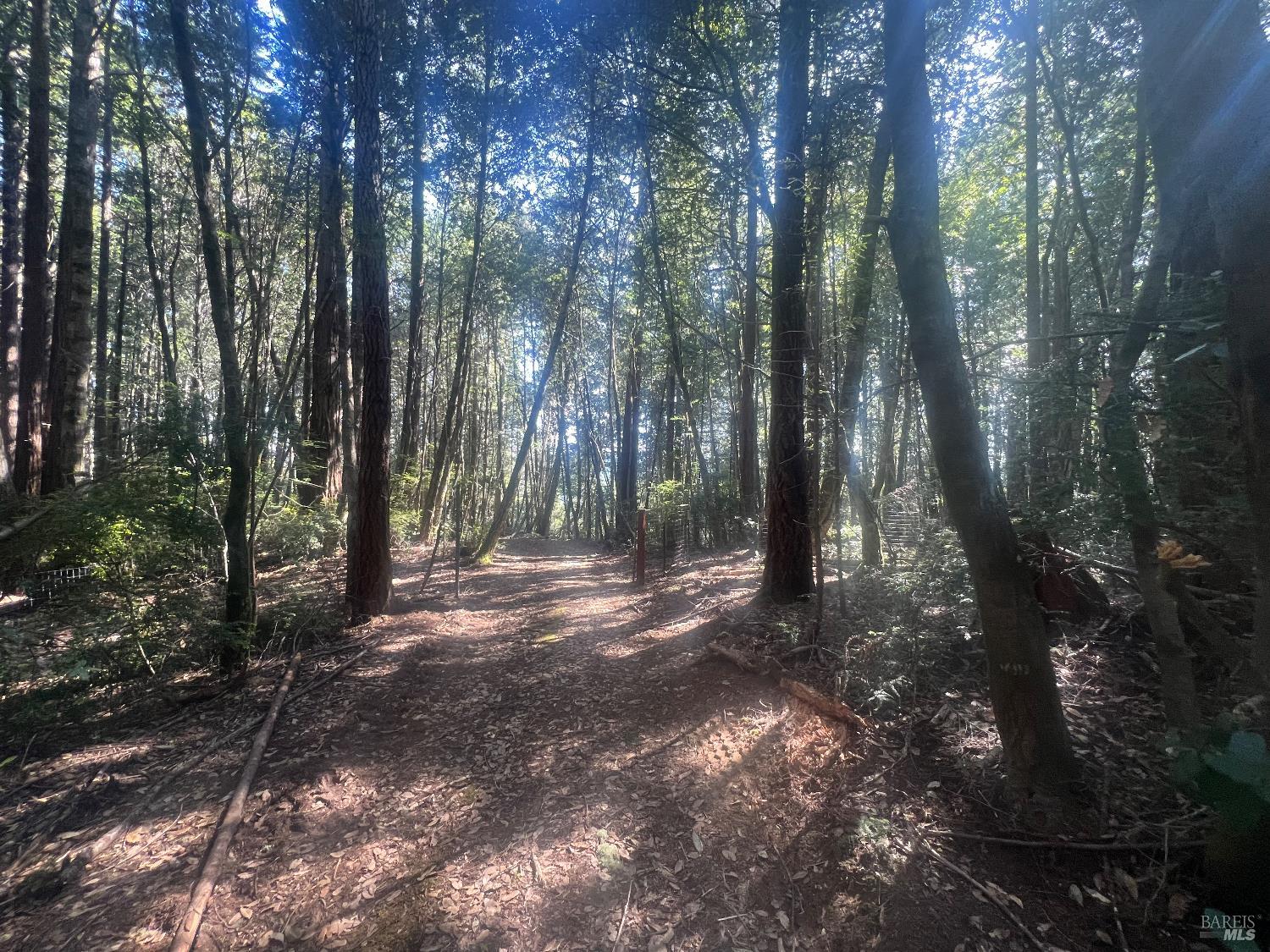 29530 Ten Mile Cut Off Rd