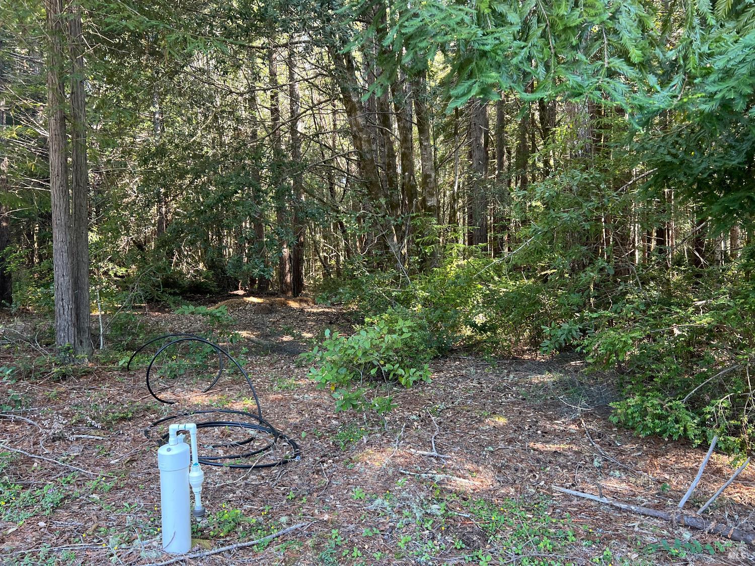 29530 Ten Mile Cut Off Rd