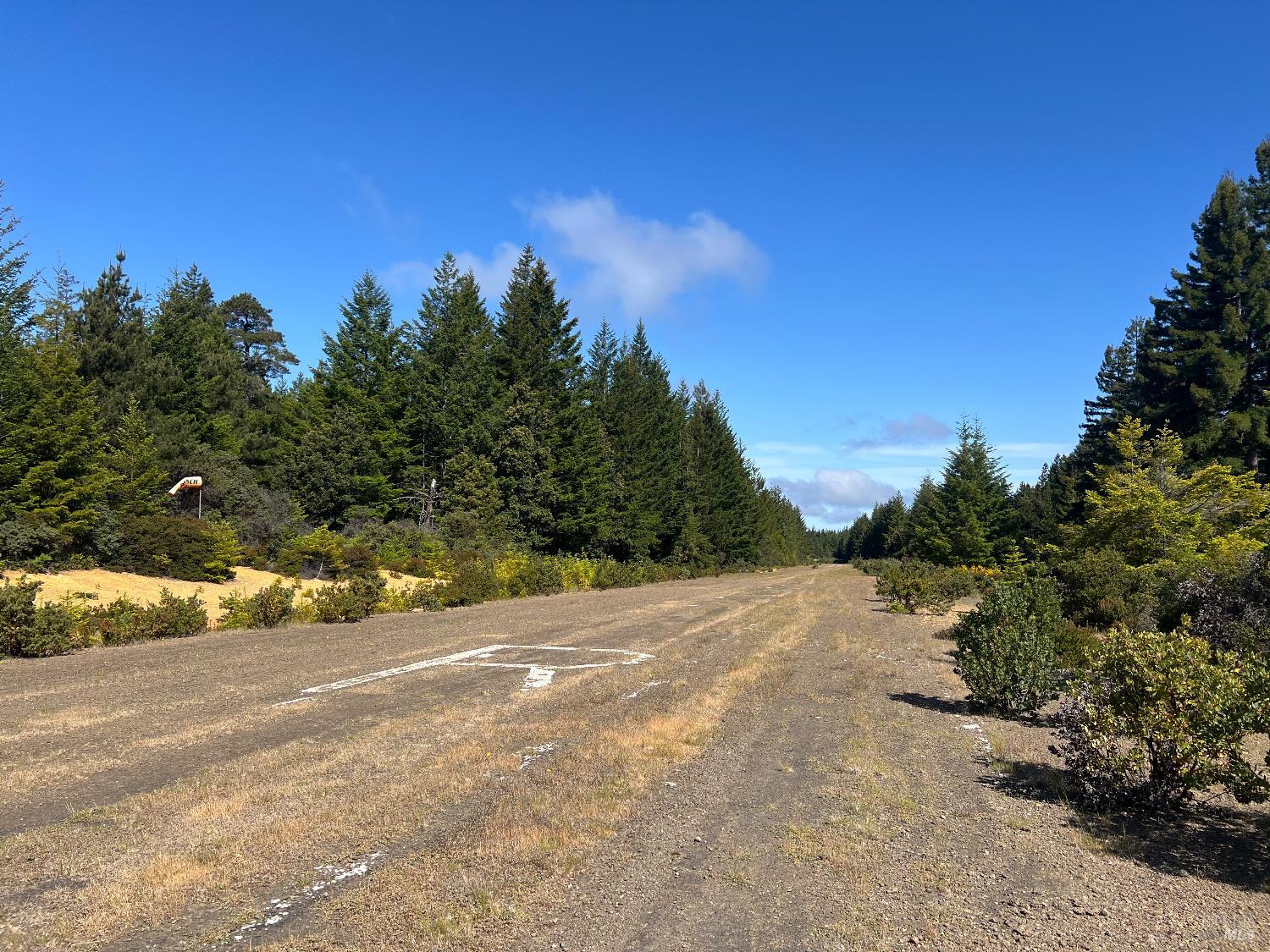 29530 Ten Mile Cut Off Rd