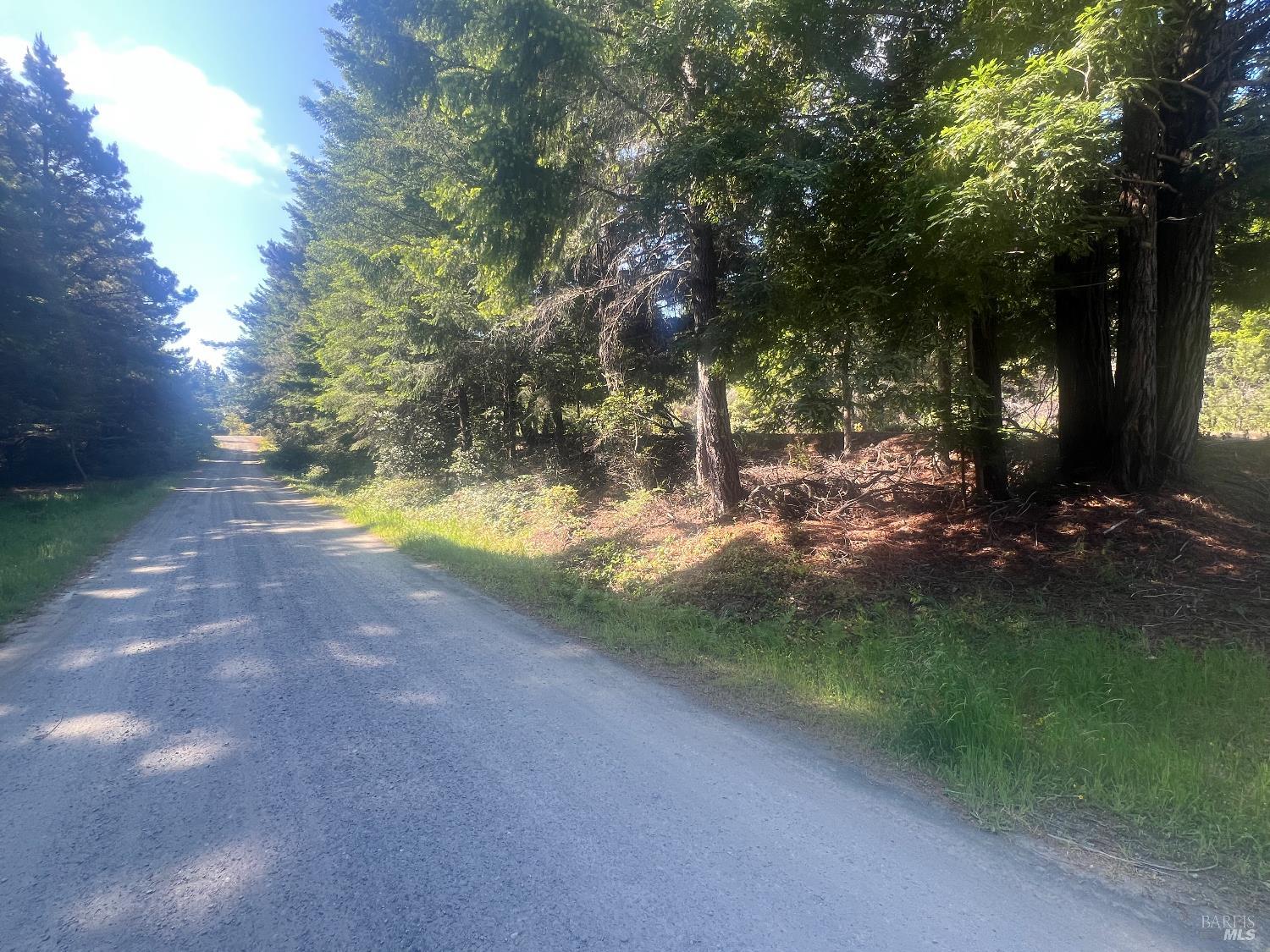 29530 Ten Mile Cut Off Rd