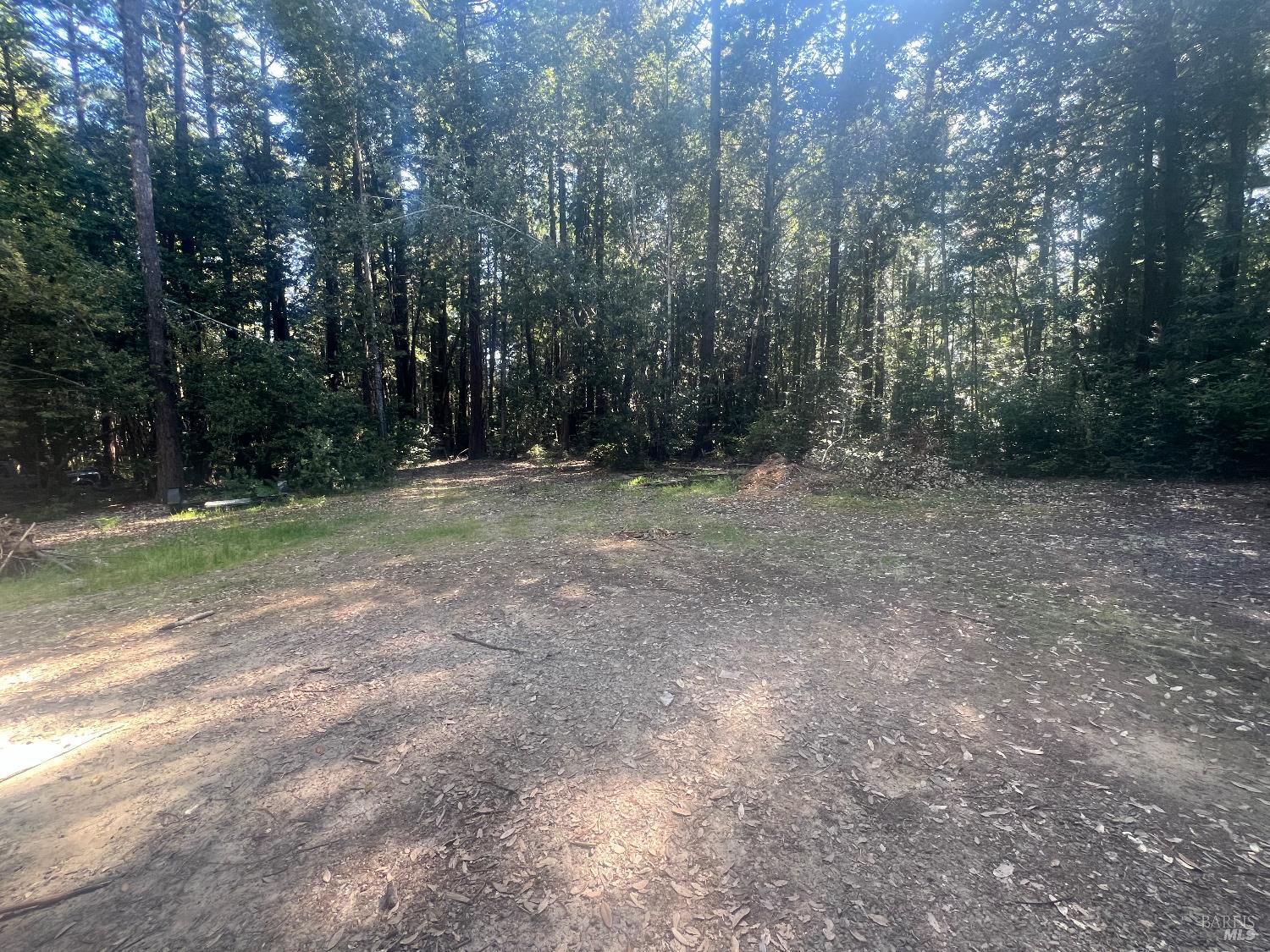 29530 Ten Mile Cut Off Rd