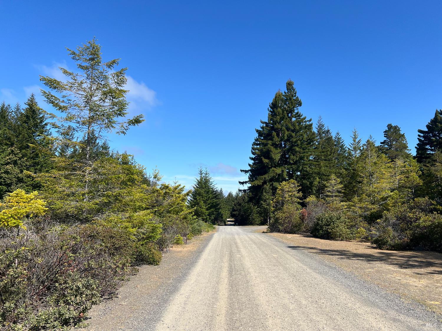 29530 Ten Mile Cut Off Rd