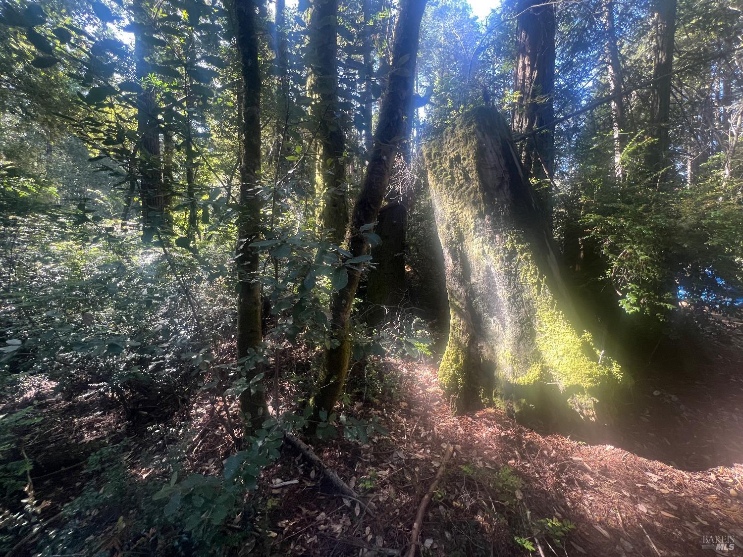 29530 Ten Mile Cut Off Rd