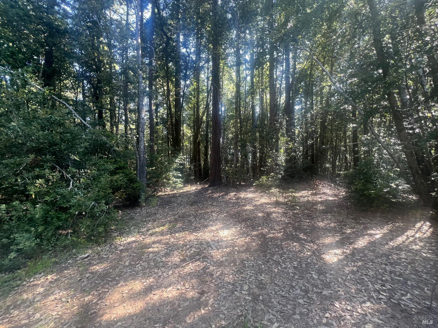 29530 Ten Mile Cut Off Rd