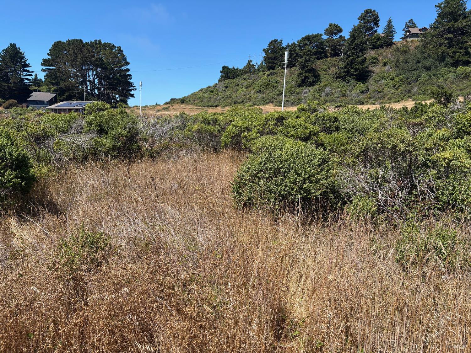 43601 Sea Cypress Dr