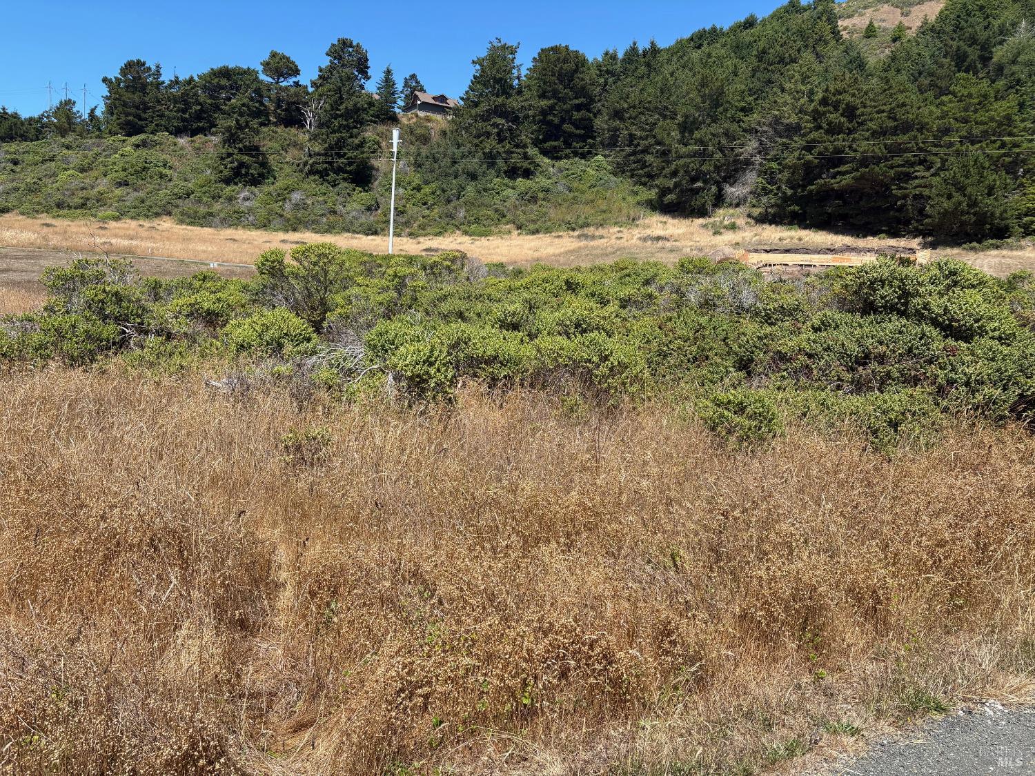 43601 Sea Cypress Dr