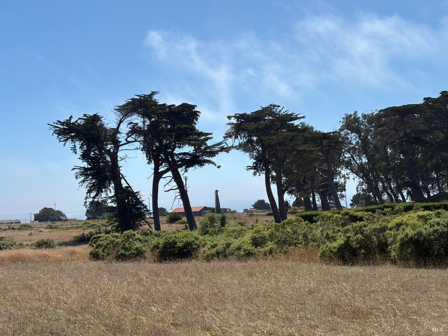 43601 Sea Cypress Dr