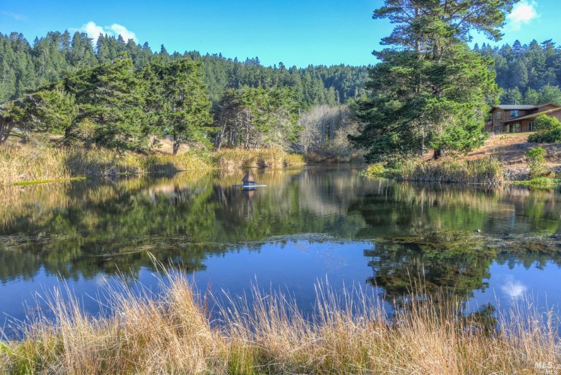 43650 Sea Cypress Dr