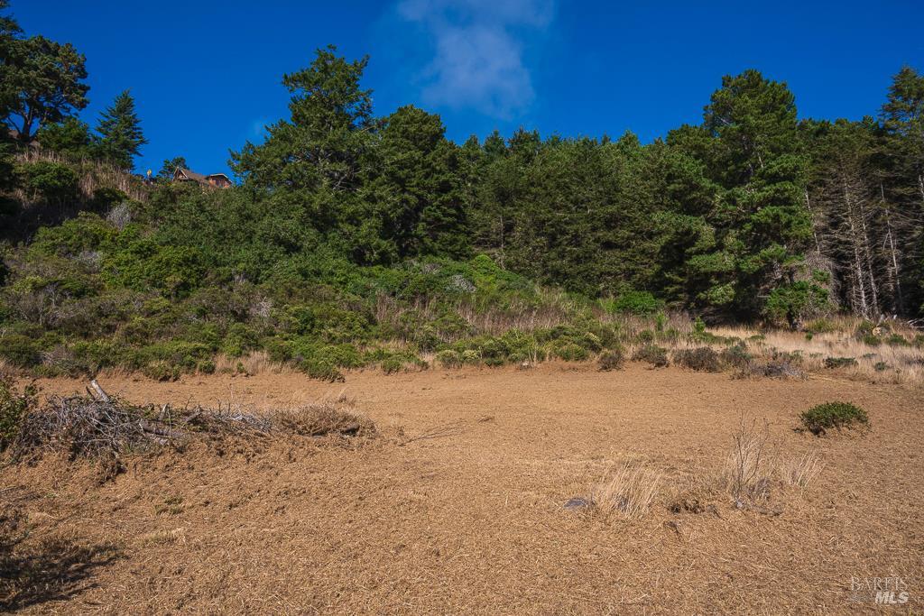 43650 Sea Cypress Dr