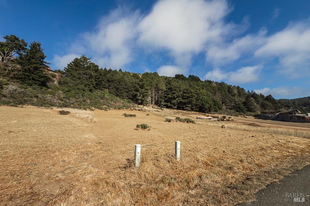 43650 Sea Cypress Dr