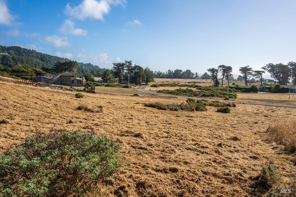 43650 Sea Cypress Dr