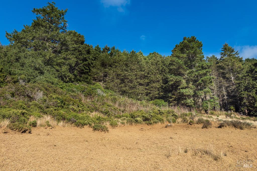 43650 Sea Cypress Dr