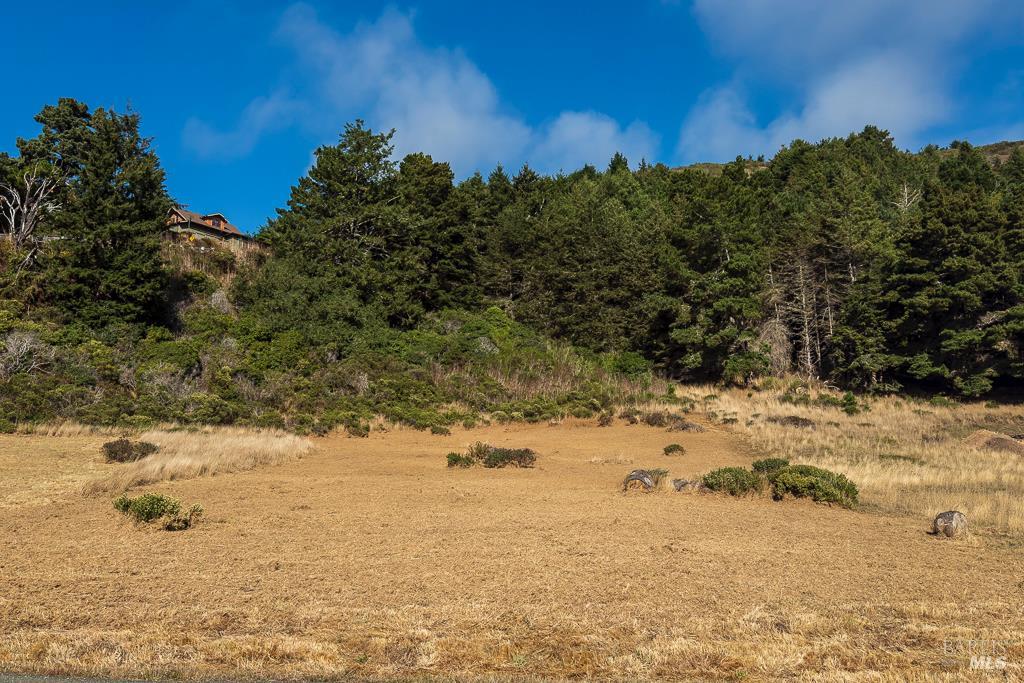 43650 Sea Cypress Dr