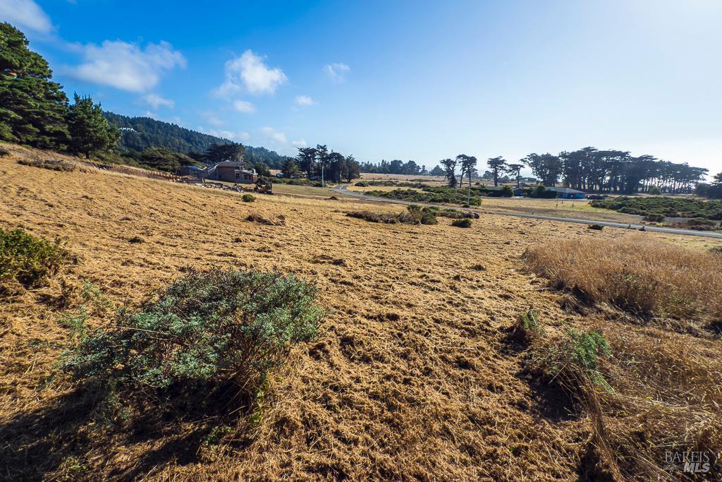 43650 Sea Cypress Dr