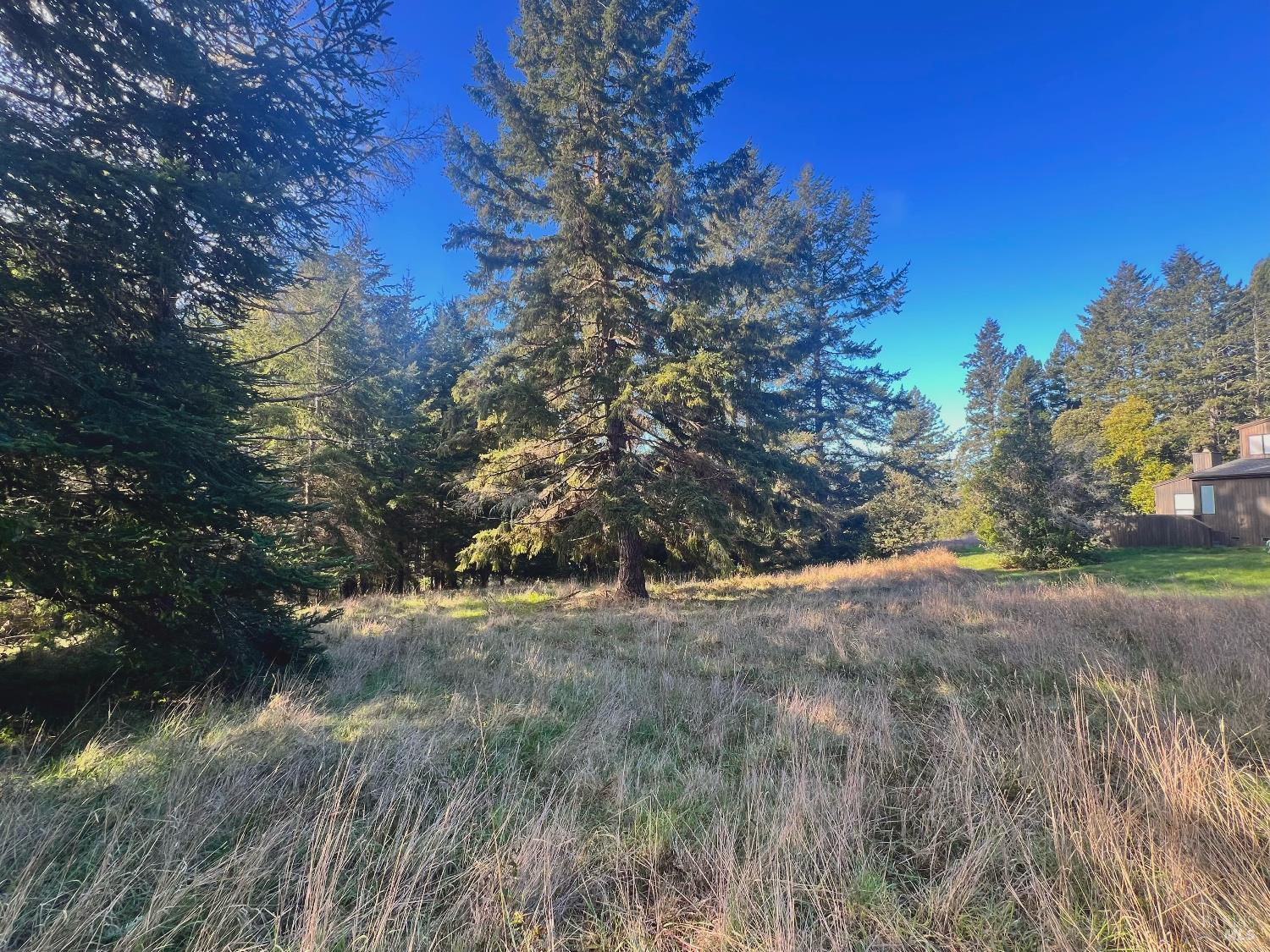 38065 Foothill Close