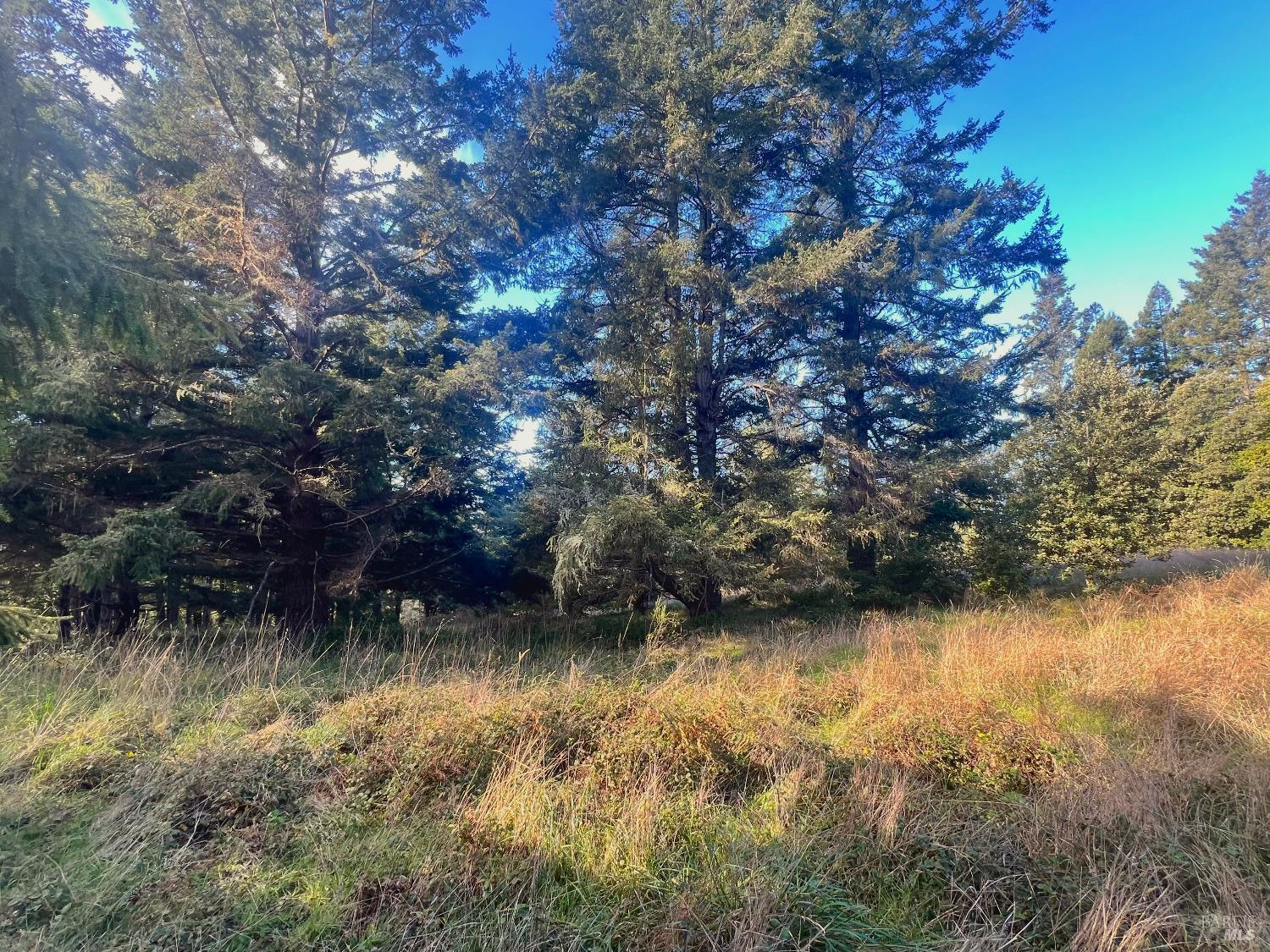 38065 Foothill Close