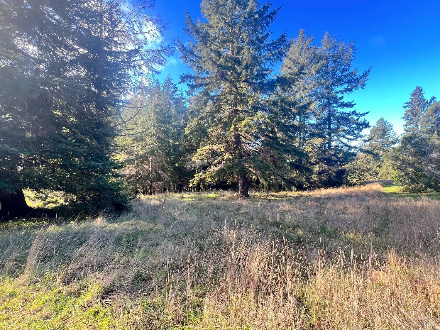 38065 Foothill Close