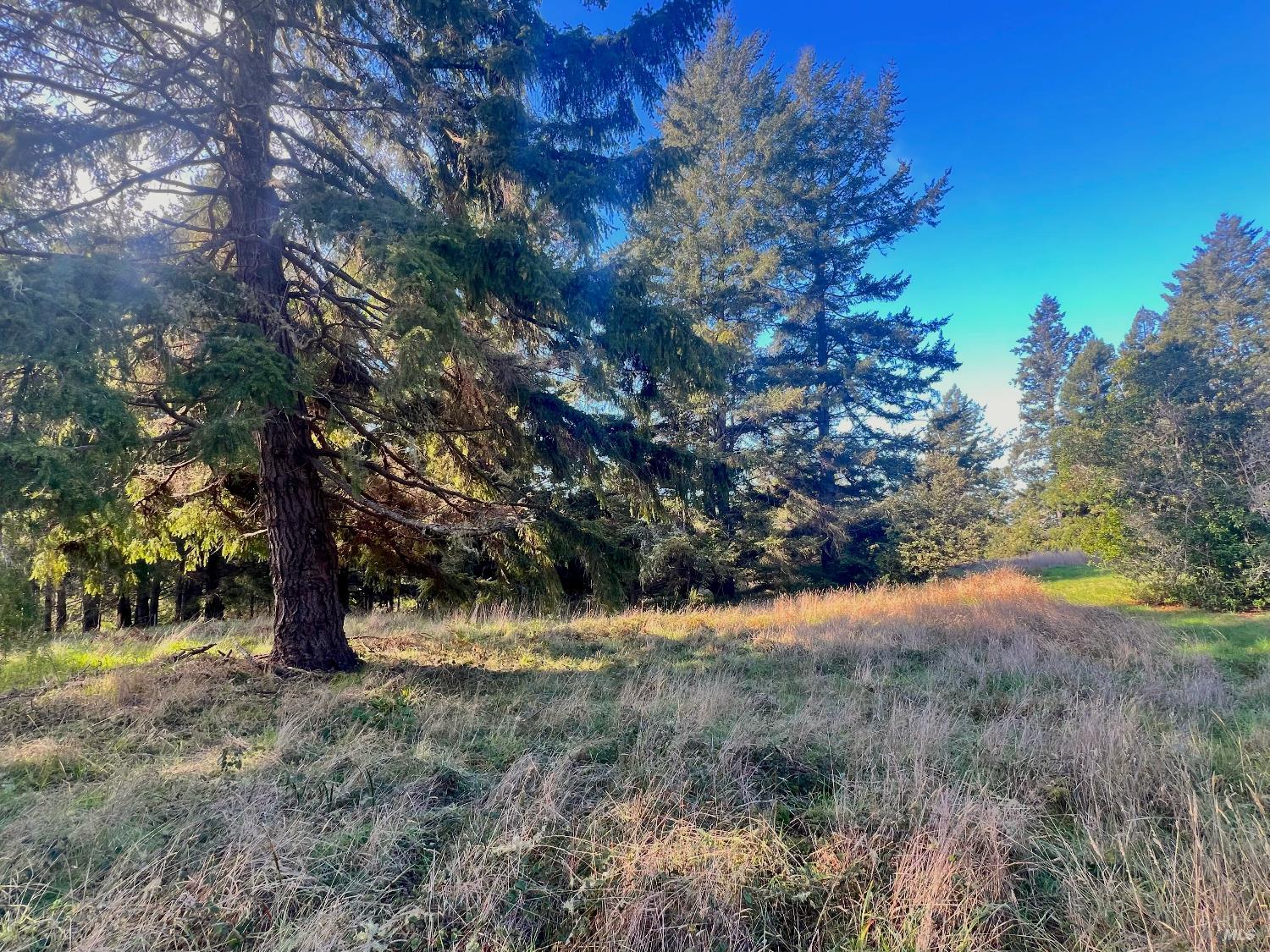 38065 Foothill Close