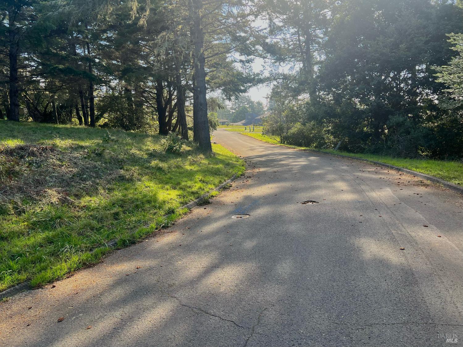 38065 Foothill Close