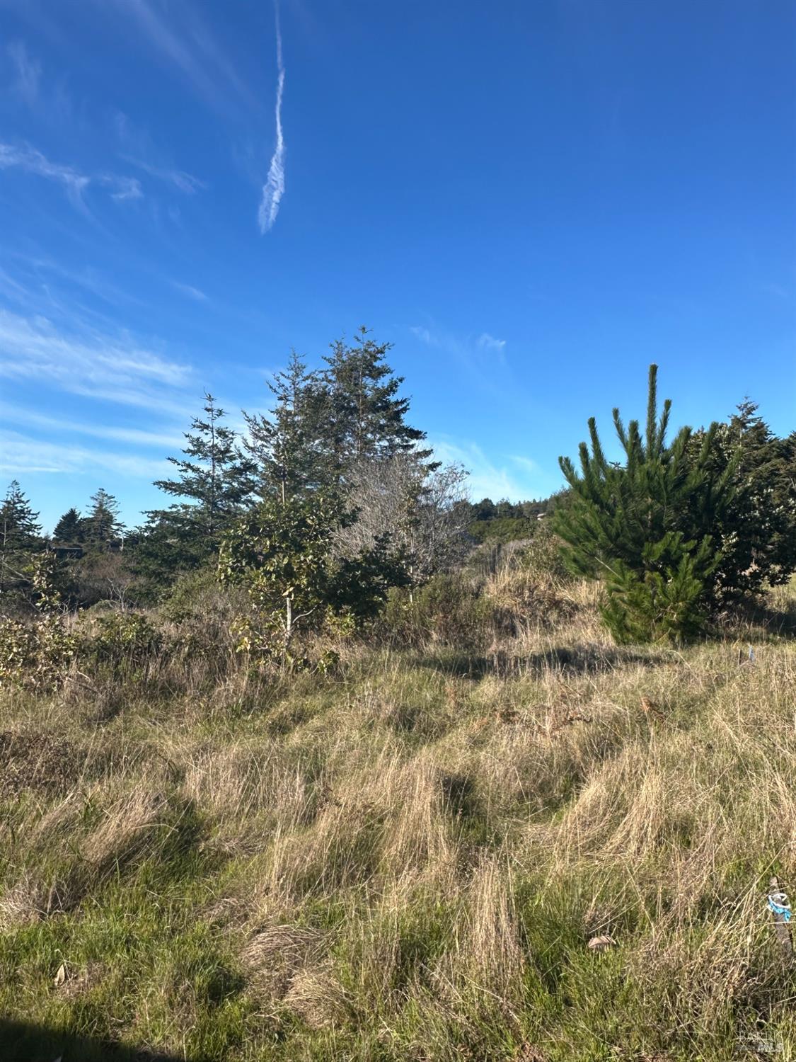 38240 Green Vale Close