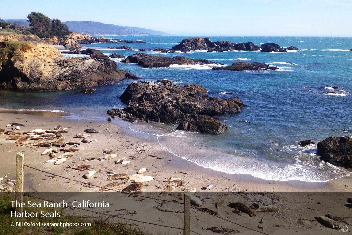 38240 Green Vale Close