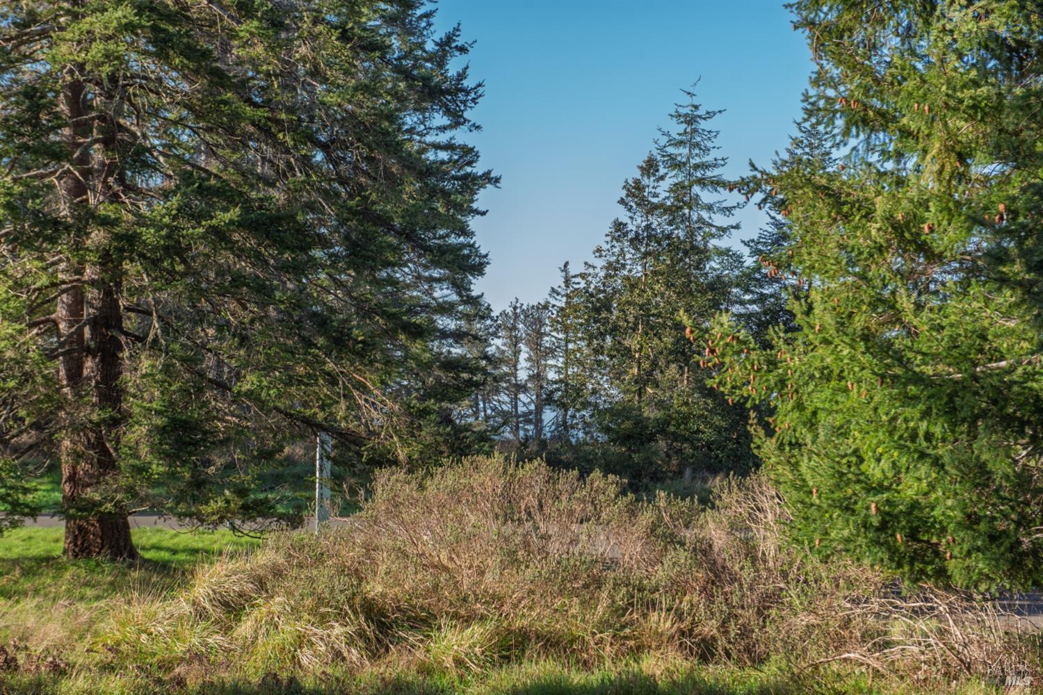 36231 Timber Ridge Road