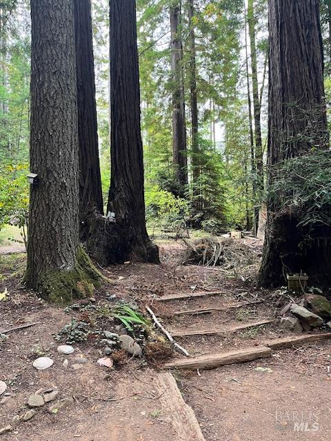 46251 Pacific Woods Road