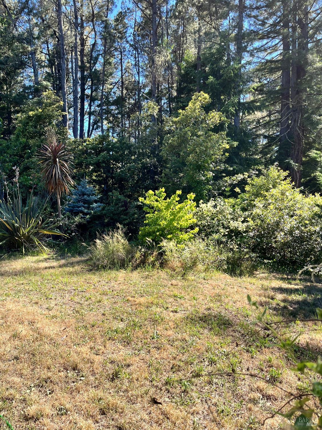 46251 Pacific Woods Road