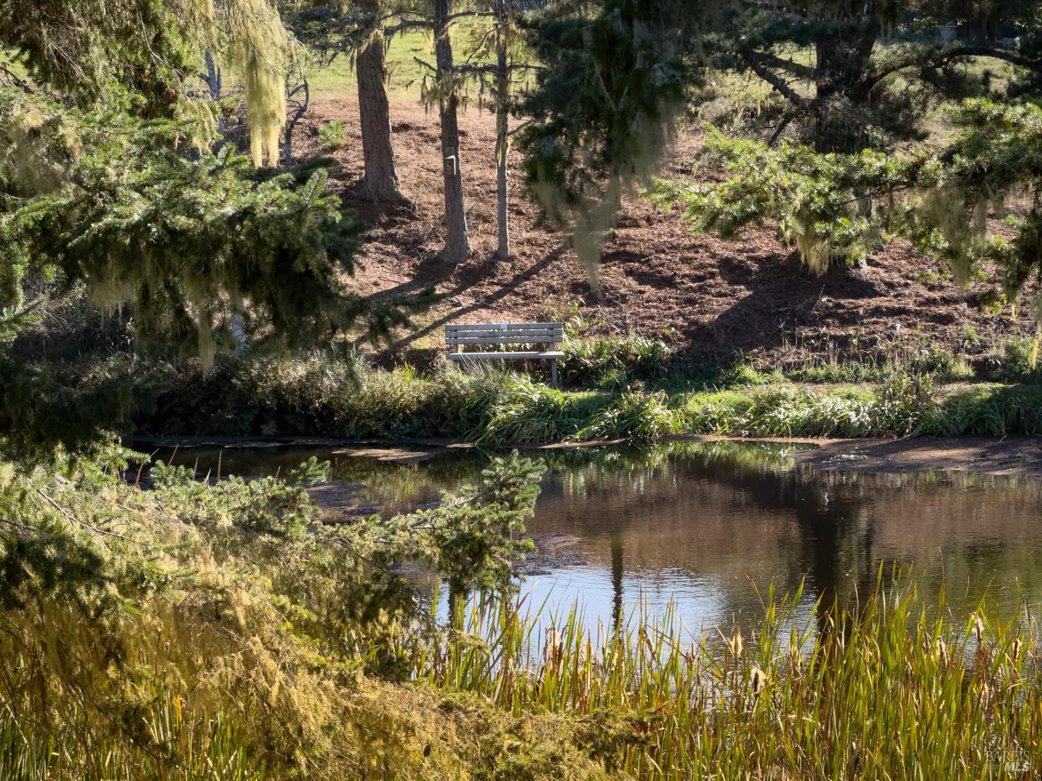 15691 Forest View Road