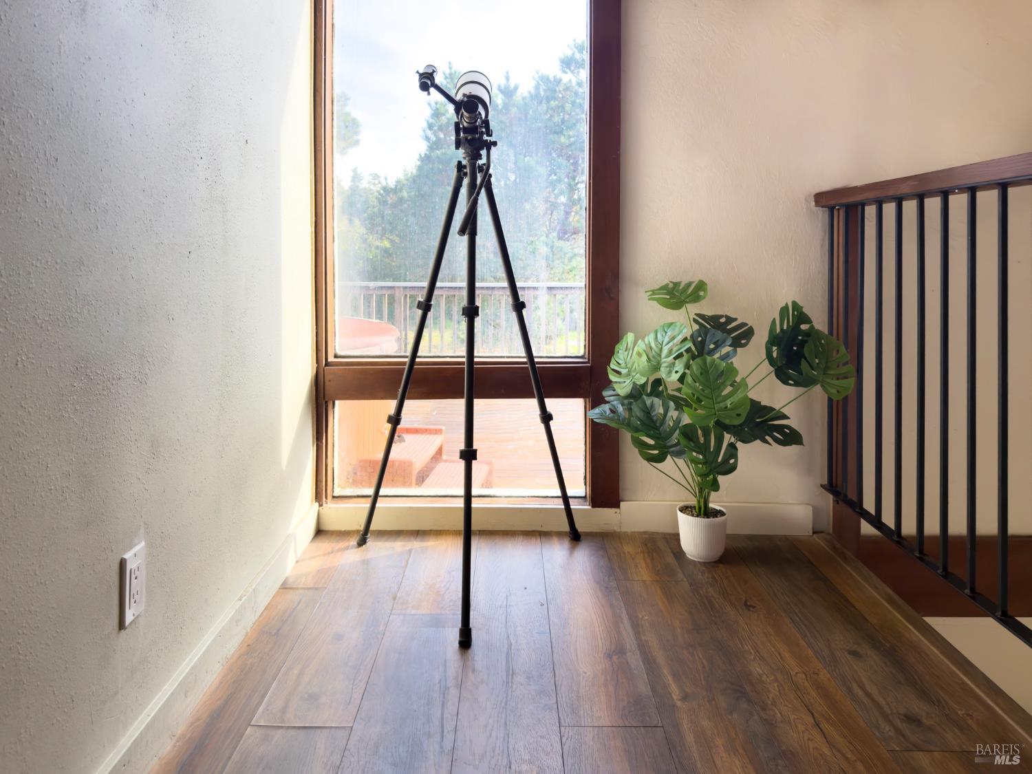 15691 Forest View Road