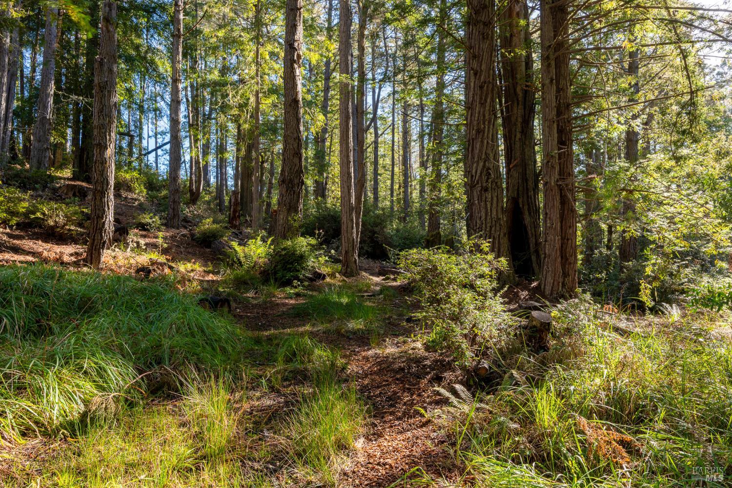 33300 Sea Forest Drive