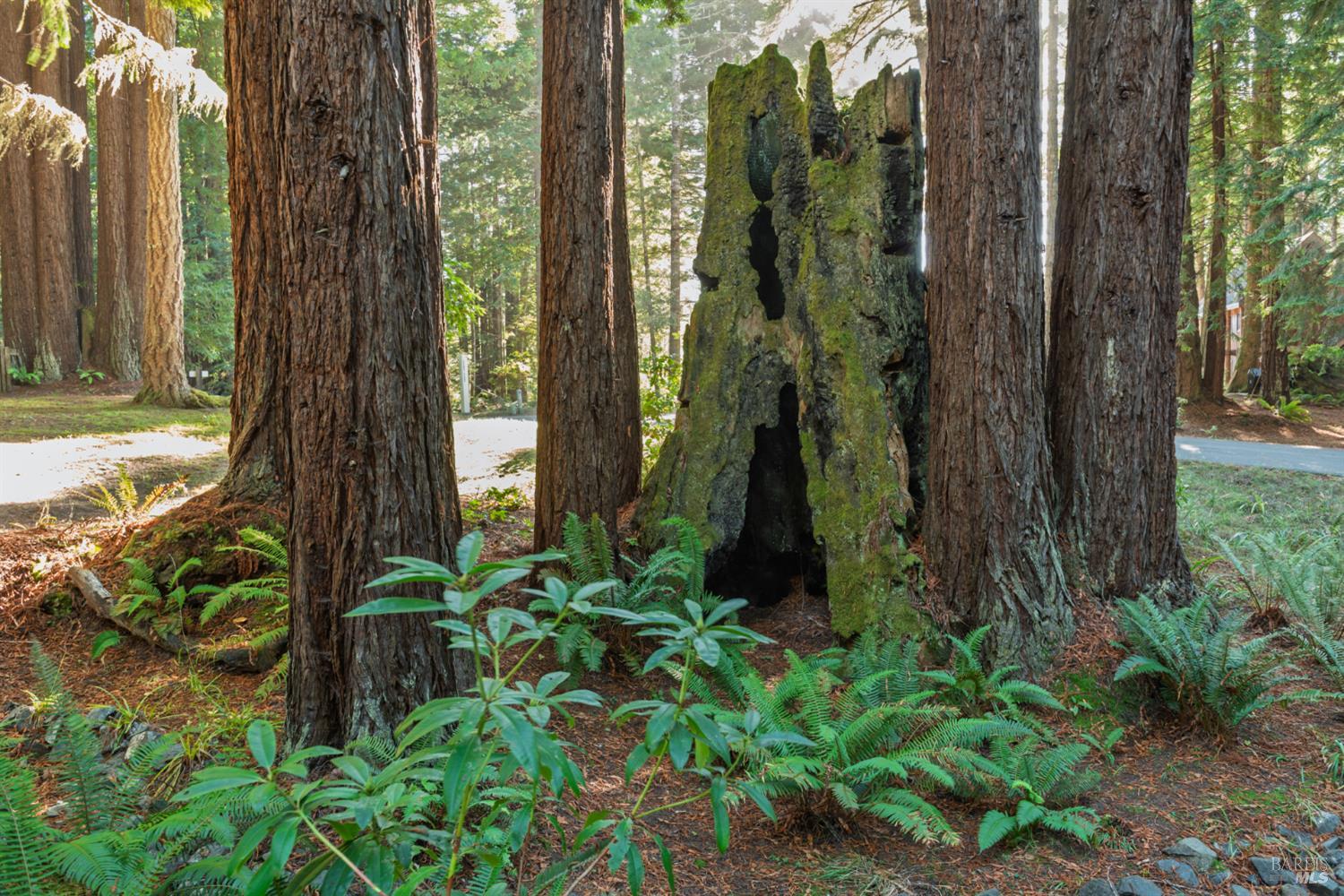 37162 Schooner Drive