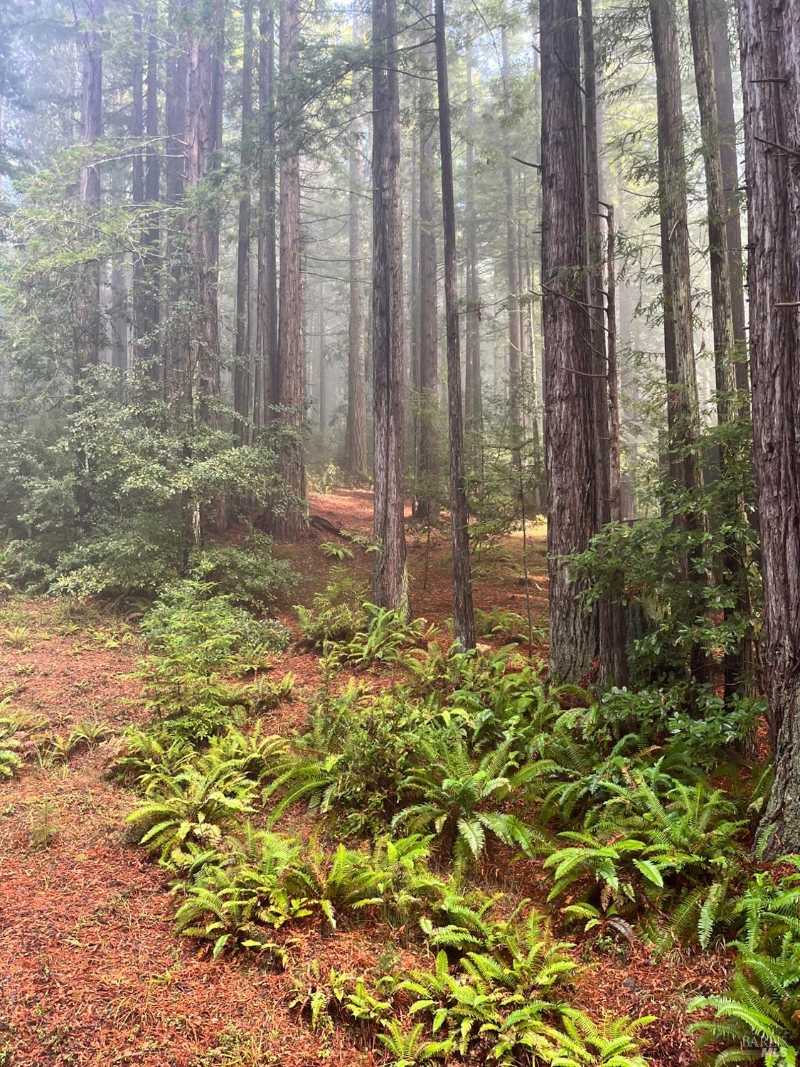 37162 Schooner Drive